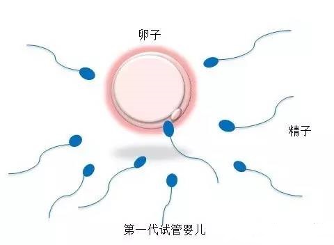 紫韵医疗